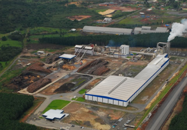 1 Sudati é a segunda maior exportadora de madeira do Brasil